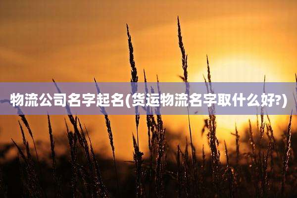 物流公司名字起名(货运物流名字取什么好?)