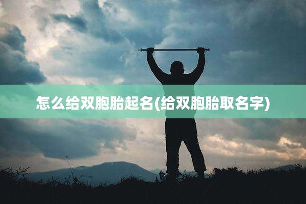 怎么给双胞胎起名(给双胞胎取名字)