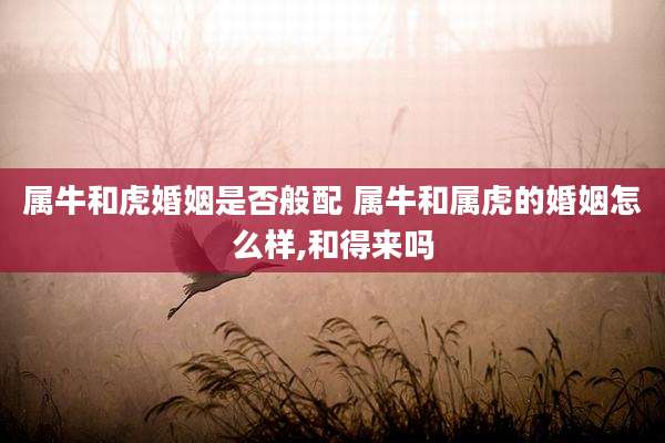 属牛和虎婚姻是否般配 属牛和属虎的婚姻怎么样,和得来吗