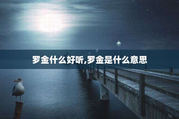 罗金什么好听,罗金是什么意思