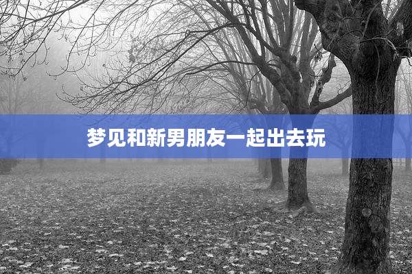 梦见和新男朋友一起出去玩