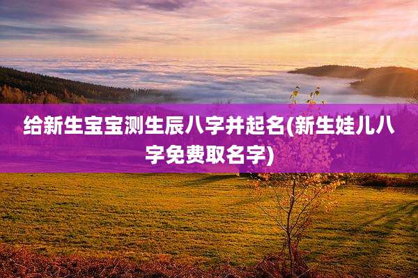 给新生宝宝测生辰八字并起名(新生娃儿八字免费取名字)