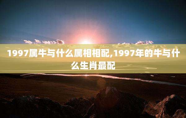 1997属牛与什么属相相配,1997年的牛与什么生肖最配