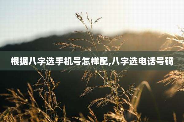 根据八字选手机号怎样配,八字选电话号码