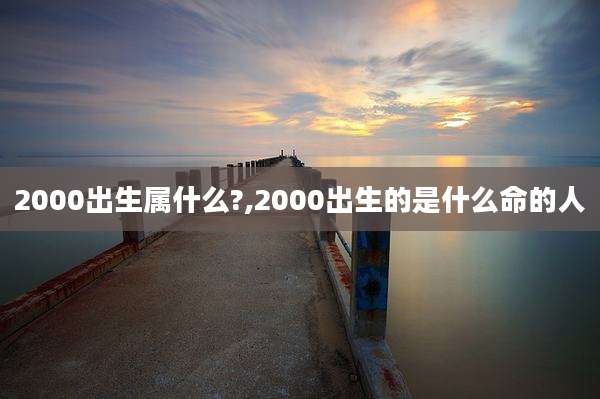 2000出生属什么?,2000出生的是什么命的人
