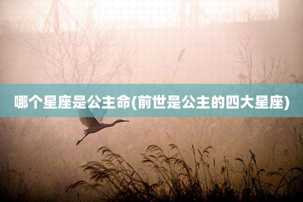 哪个星座是公主命(前世是公主的四大星座)