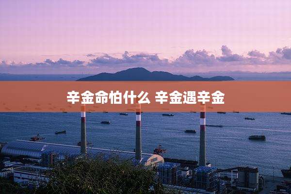 辛金命怕什么 辛金遇辛金