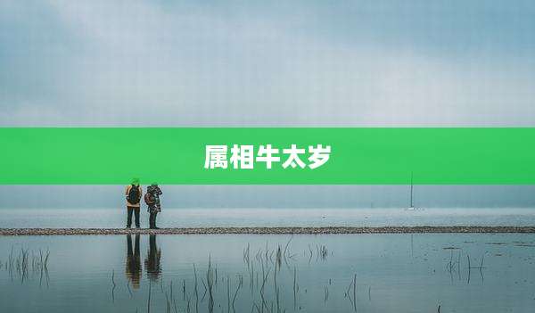 属相牛太岁
