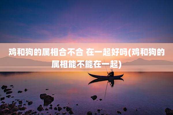 鸡和狗的属相合不合 在一起好吗(鸡和狗的属相能不能在一起)