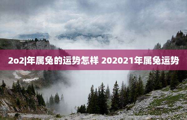 2o2|年属兔的运势怎样 202021年属兔运势
