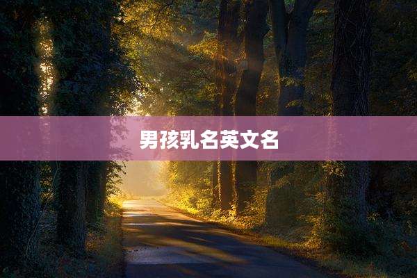 男孩乳名英文名