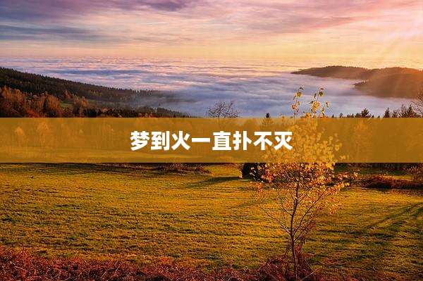 梦到火一直扑不灭