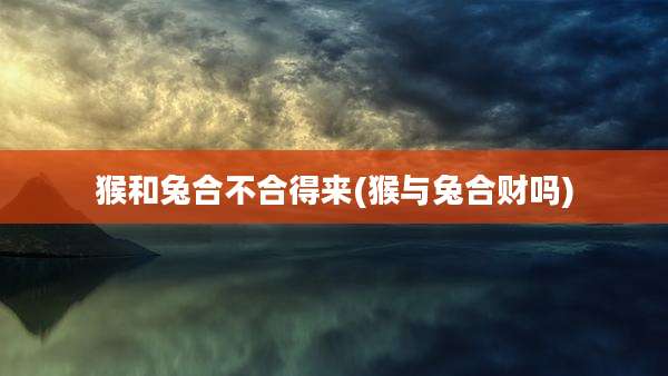 猴和兔合不合得来(猴与兔合财吗)