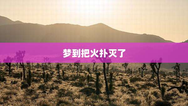 梦到把火扑灭了