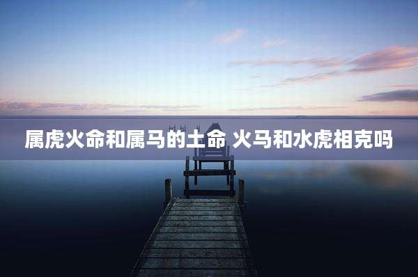 属虎火命和属马的土命 火马和水虎相克吗