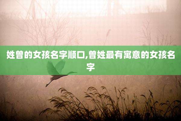 姓曾的女孩名字顺口,曾姓最有寓意的女孩名字