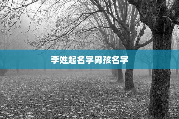 李姓起名字男孩名字