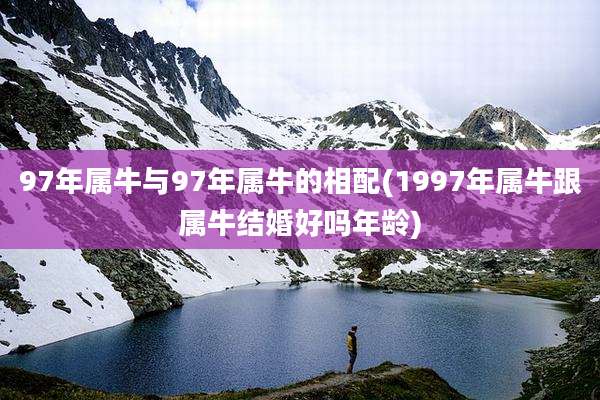 97年属牛与97年属牛的相配(1997年属牛跟属牛结婚好吗年龄)