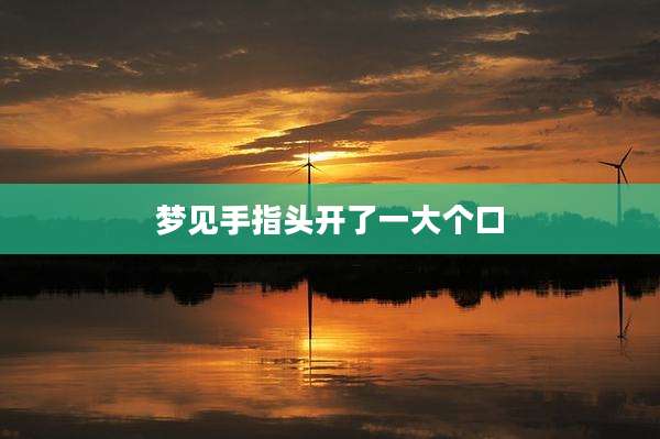 梦见手指头开了一大个口