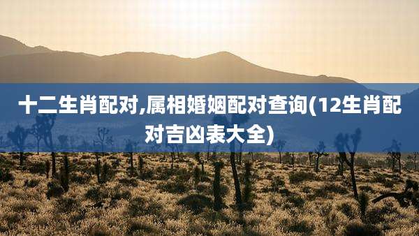 十二生肖配对,属相婚姻配对查询(12生肖配对吉凶表大全)