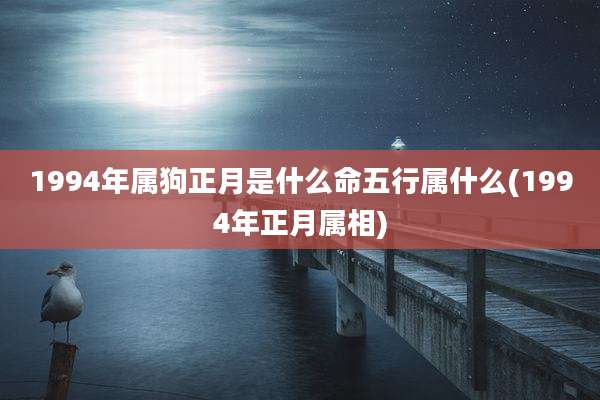 1994年属狗正月是什么命五行属什么(1994年正月属相)