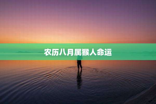 农历八月属猴人命运