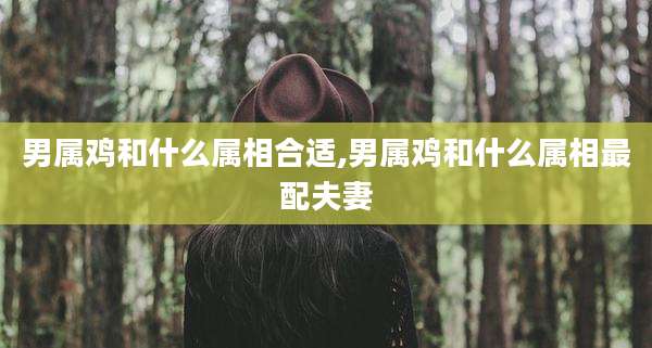 男属鸡和什么属相合适,男属鸡和什么属相最配夫妻