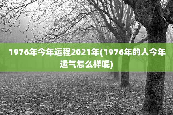 1976年今年运程2021年(1976年的人今年运气怎么样呢)