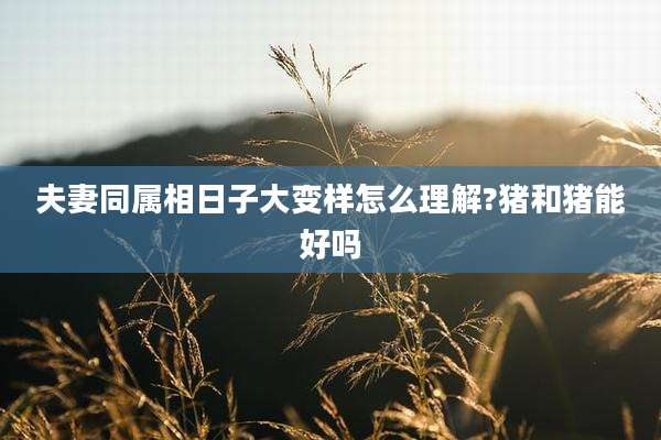 夫妻同属相日子大变样怎么理解?猪和猪能好吗
