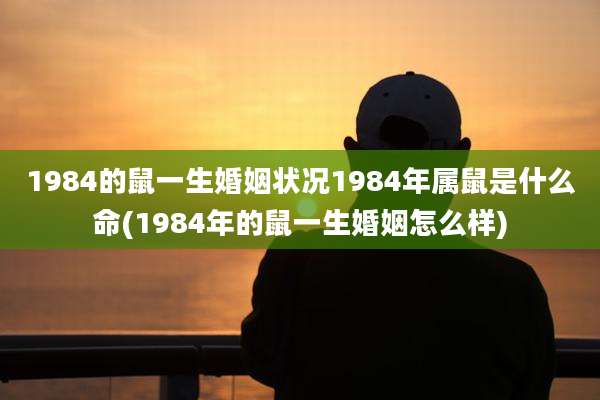 1984的鼠一生婚姻状况1984年属鼠是什么命(1984年的鼠一生婚姻怎么样)