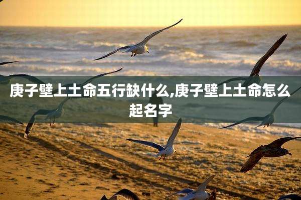 庚子壁上土命五行缺什么,庚子壁上土命怎么起名字
