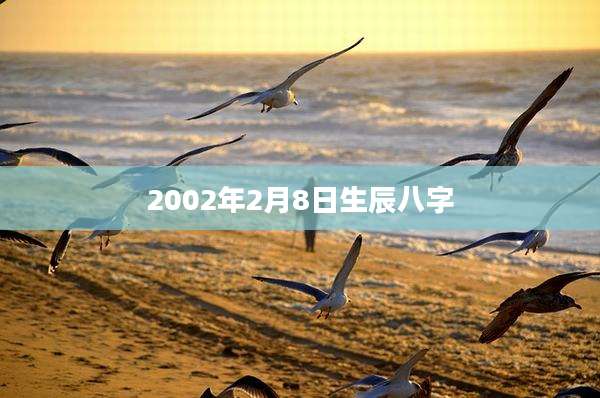 2002年2月8日生辰八字