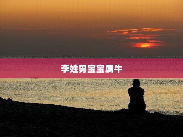 李姓男宝宝属牛