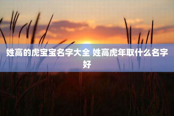 姓高的虎宝宝名字大全 姓高虎年取什么名字好