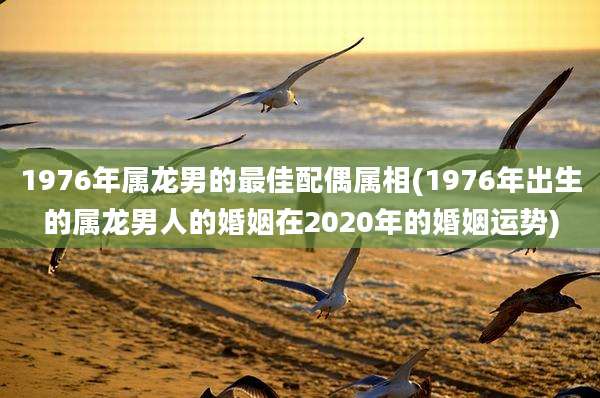 1976年属龙男的最佳配偶属相(1976年出生的属龙男人的婚姻在2020年的婚姻运势)