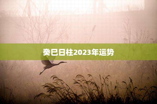 癸巳日柱2023年运势