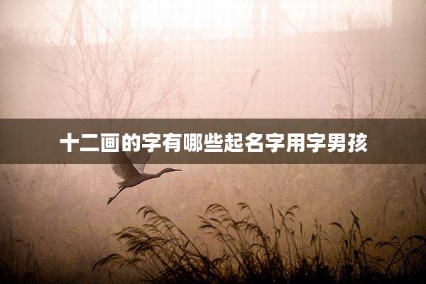 十二画的字有哪些起名字用字男孩