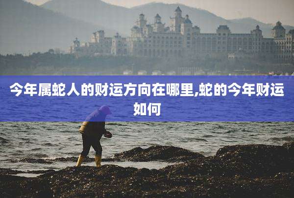 今年属蛇人的财运方向在哪里,蛇的今年财运如何