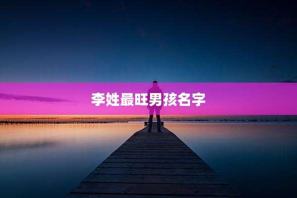 李姓最旺男孩名字