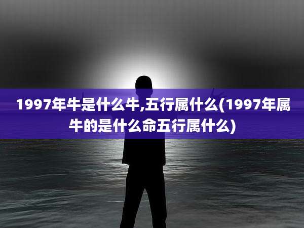 1997年牛是什么牛,五行属什么(1997年属牛的是什么命五行属什么)