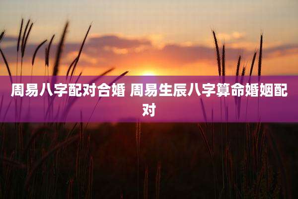 周易八字配对合婚 周易生辰八字算命婚姻配对