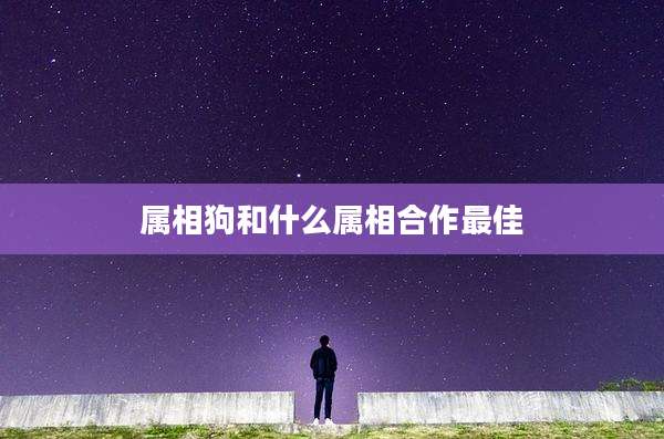 属相狗和什么属相合作最佳