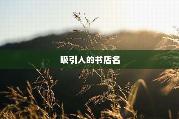 吸引人的书店名