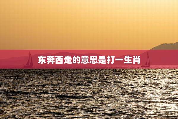东奔西走的意思是打一生肖