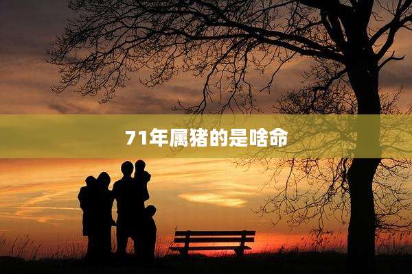 71年属猪的是啥命