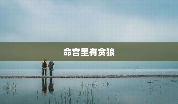 命宫里有贪狼
