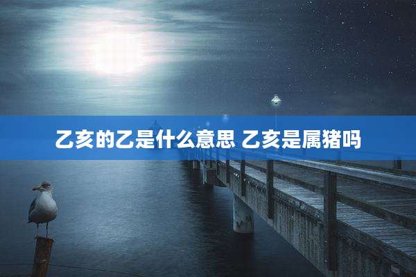 乙亥的乙是什么意思 乙亥是属猪吗
