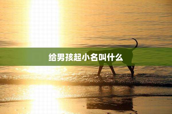 给男孩起小名叫什么