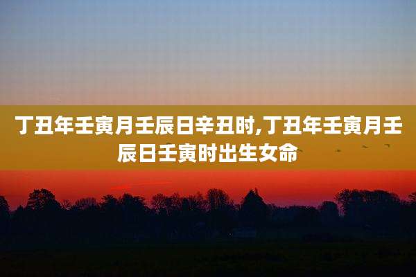 丁丑年壬寅月壬辰日辛丑时,丁丑年壬寅月壬辰日壬寅时出生女命
