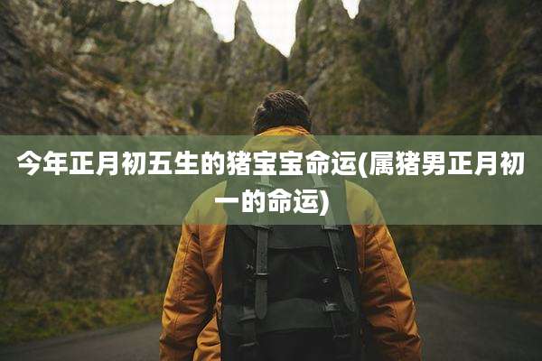 今年正月初五生的猪宝宝命运(属猪男正月初一的命运)